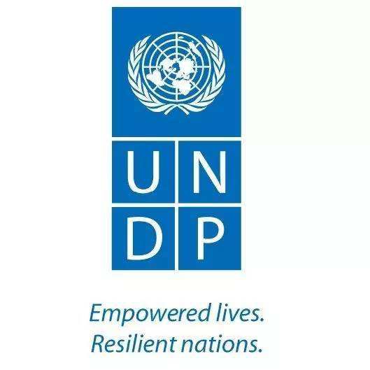 UNDP